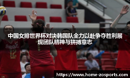 中欧体育